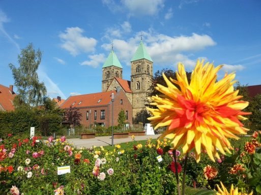 Der Dahliengarten in Legden mit seinen Blumen