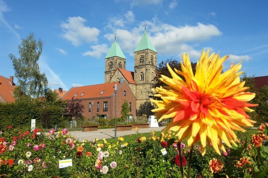 Dahliengarten Legden mit seiner Blumenpracht