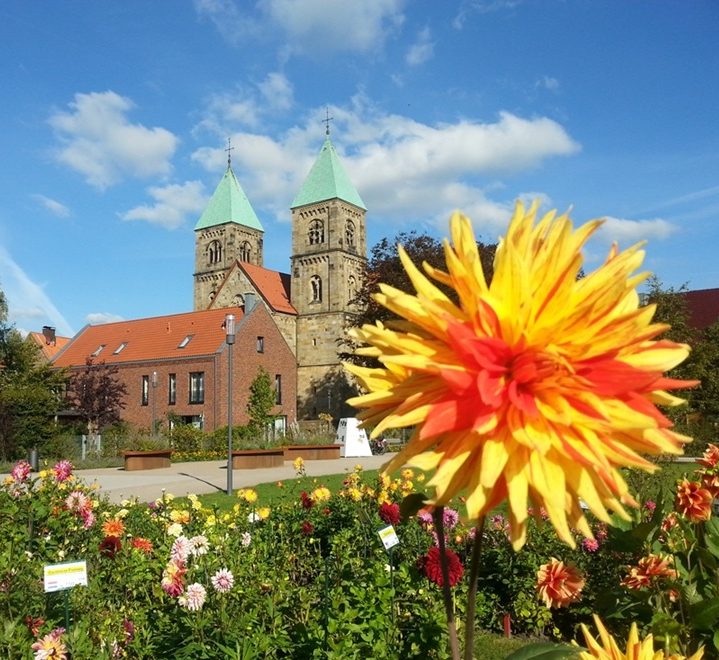 Bunte Dahlienpracht im Dahliengarten Legden – Sehenswürdigkeit in direkter Nähe zur Pension