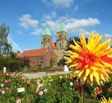 Blühende Dahlien im Dahliengarten Legden im Westmünsterland. Sehenswürdigkeiten und Ausflugsziele nahe der Pension - Gästehaus Legden.