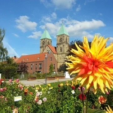 dahliengarten-legden-blumen-muensterland Perfekt für eine entspannte Rast: Der farbenfrohe Dahliengarten in Legden direkt an den regionalen Radwegen.